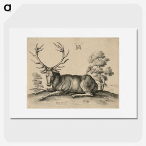 1-48_Albrecht-Durer_picture