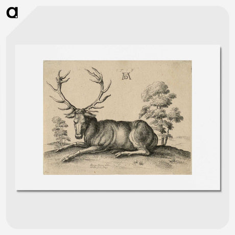 1-48_Albrecht-Durer_picture