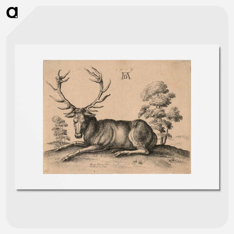 アートポスター-Stag - アルブレヒト デューラー Poster.