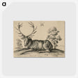 1-48_Albrecht-Durer_postcard
