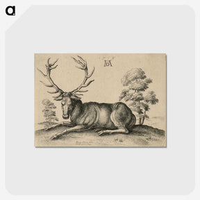 1-48_Albrecht-Durer_postcard