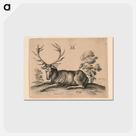 アートポストカード-Stag - アルブレヒト デューラー Postcard.
