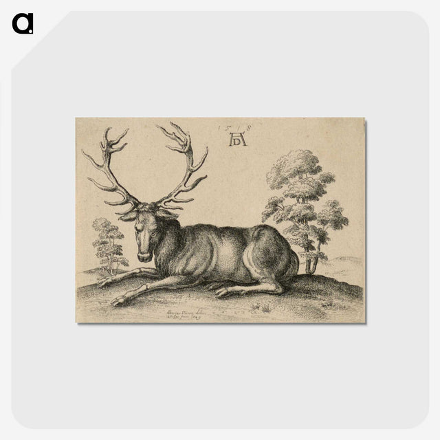 1-48_Albrecht-Durer_postcard