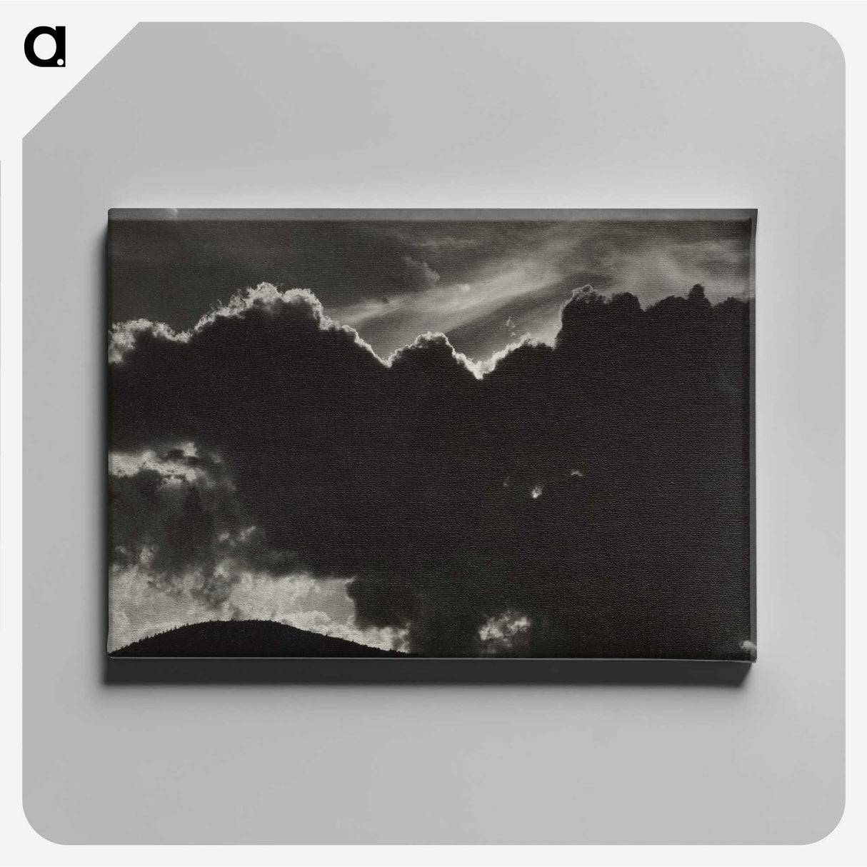1-48_Alfred-Stieglitz_canvas