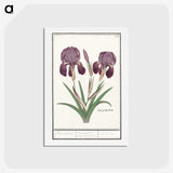 1-48_Anselmus-Boetius-de-Boodt_hagaki
