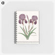 1-48_Anselmus-Boetius-de-Boodt_memo