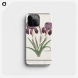 1-48_Anselmus-Boetius-de-Boodt_phone