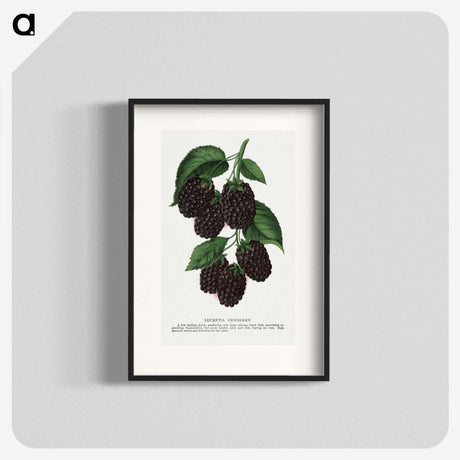 1-48_Botanical-Specimen-Plates_blk