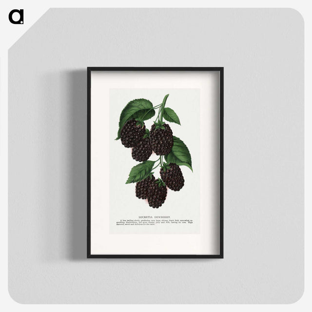 1-48_Botanical-Specimen-Plates_blk