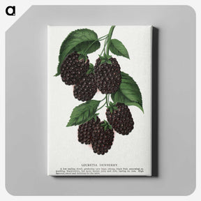 1-48_Botanical-Specimen-Plates_canvas