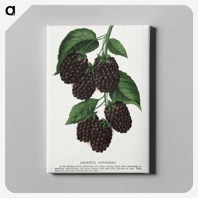 1-48_Botanical-Specimen-Plates_canvas