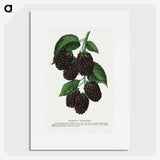 1-48_Botanical-Specimen-Plates_picture
