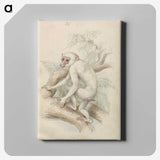 1-48_Charles-Hamilton-Smith_canvas
