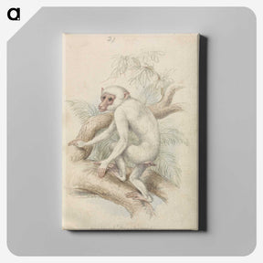 1-48_Charles-Hamilton-Smith_canvas