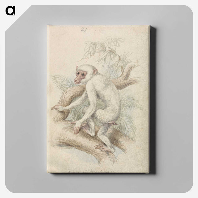 1-48_Charles-Hamilton-Smith_canvas