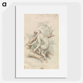 1-48_Charles-Hamilton-Smith_picture