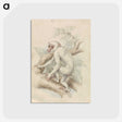 1-48_Charles-Hamilton-Smith_postcard
