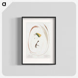 1-48_Des-Oiseaux-de-Paradis_blk