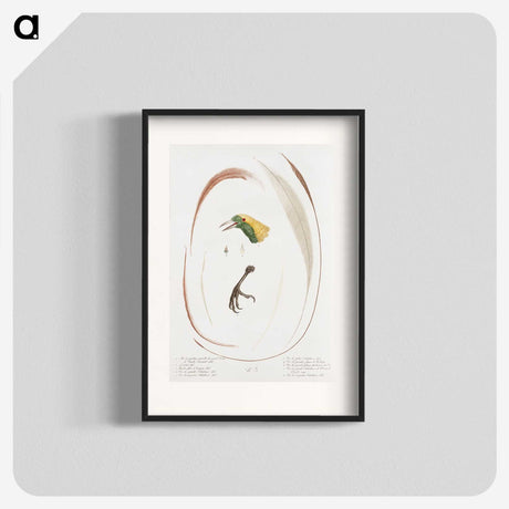 1-48_Des-Oiseaux-de-Paradis_blk