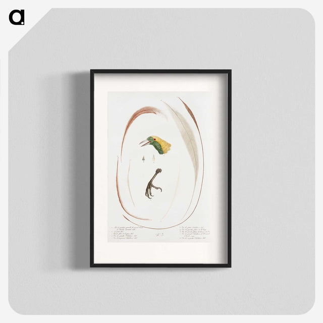 1-48_Des-Oiseaux-de-Paradis_blk