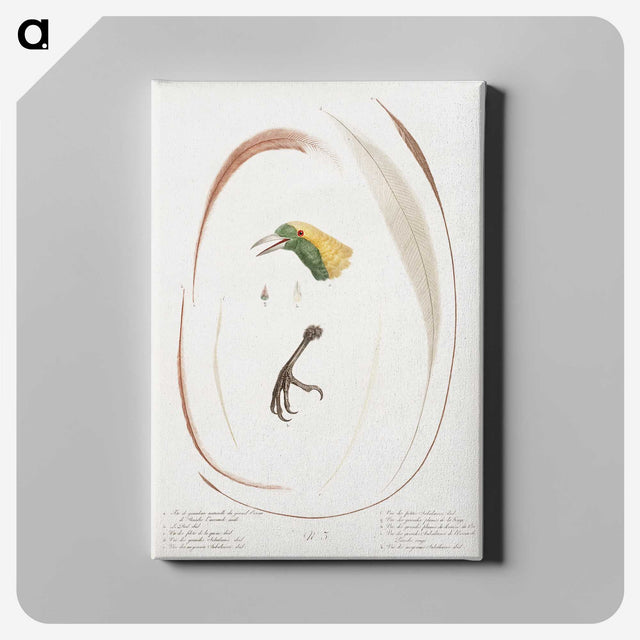 1-48_Des-Oiseaux-de-Paradis_canvas