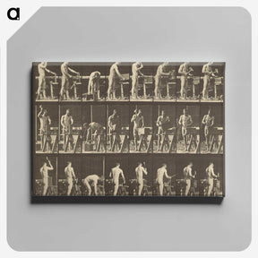 1-48_Eadweard-Muybridge_canvas