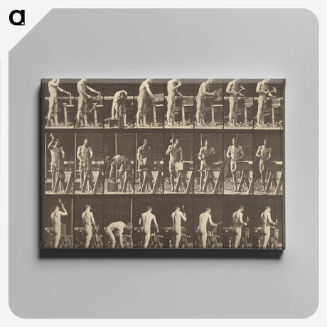 1-48_Eadweard-Muybridge_canvas