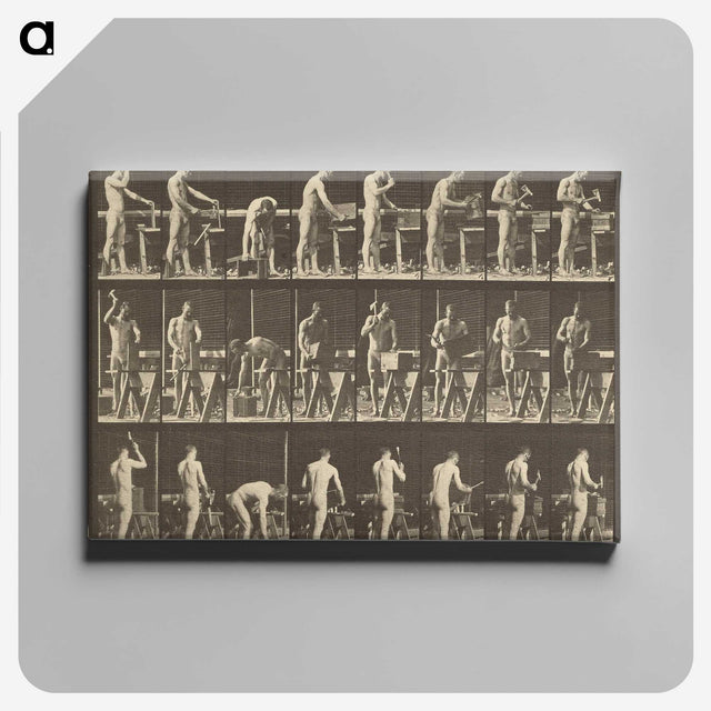 1-48_Eadweard-Muybridge_canvas