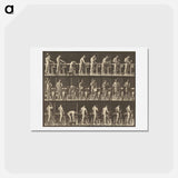 アートポストカード-Animal Locomotion
 - エドワード マイブリッジ Postcard.