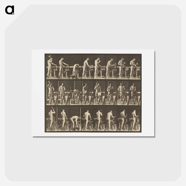 アートポストカード-Animal Locomotion
 - エドワード マイブリッジ Postcard.