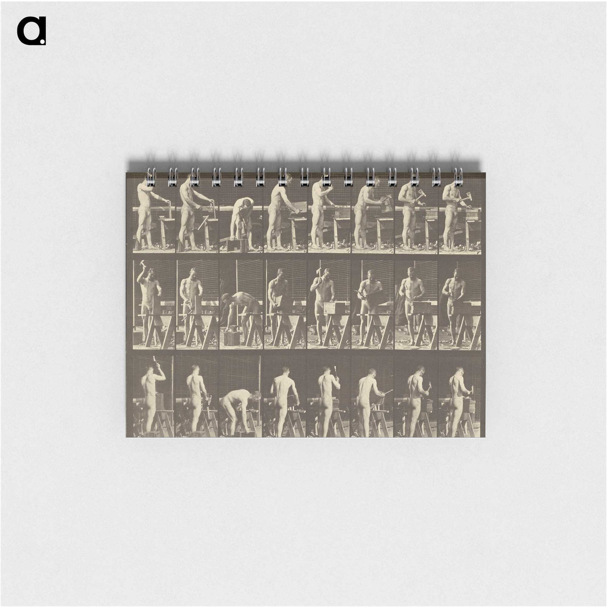 1-48_Eadweard-Muybridge_memo