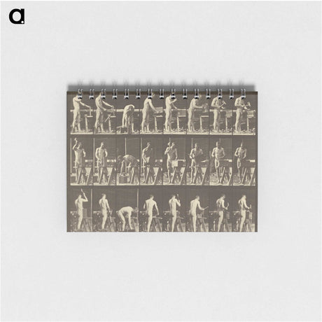 1-48_Eadweard-Muybridge_memo