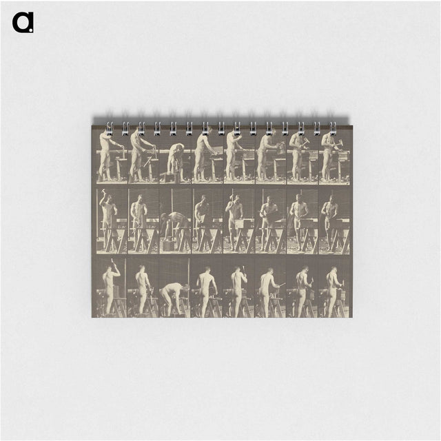 1-48_Eadweard-Muybridge_memo