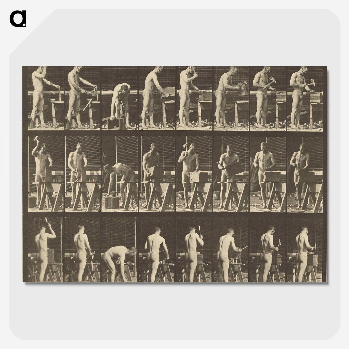 1-48_Eadweard-Muybridge_picture-crop