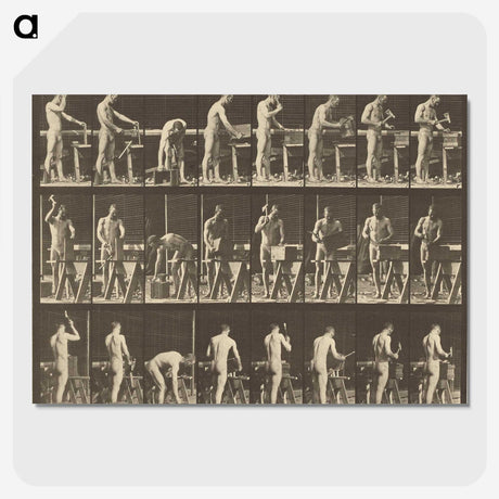 1-48_Eadweard-Muybridge_picture-crop