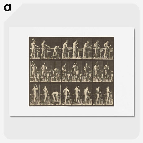 1-48_Eadweard-Muybridge_picture