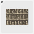 1-48_Eadweard-Muybridge_postcard