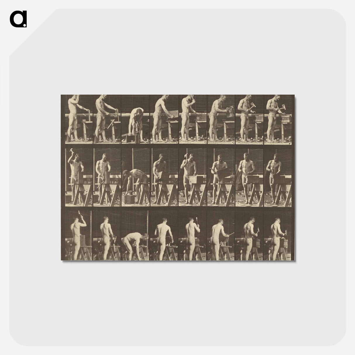 アートポストカード-Animal Locomotion
 - エドワード マイブリッジ Postcard.