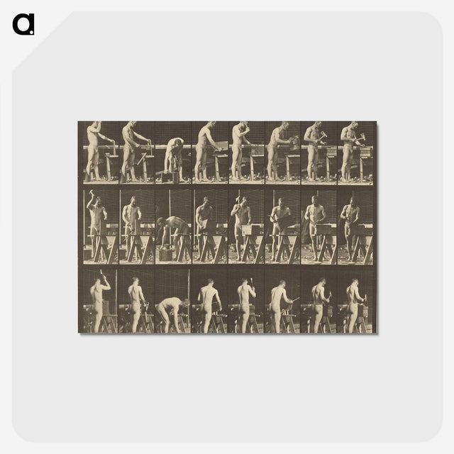 1-48_Eadweard-Muybridge_postcard