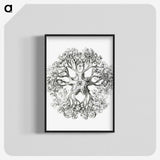 1-48_Ernst-Haeckel_blk-crop