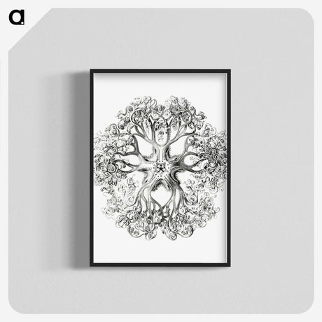1-48_Ernst-Haeckel_blk-crop