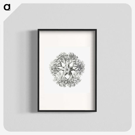 1-48_Ernst-Haeckel_blk