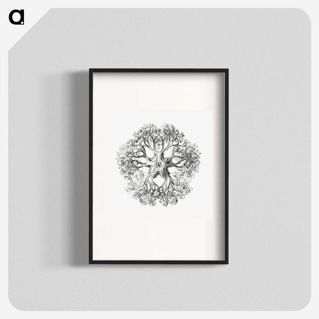 1-48_Ernst-Haeckel_blk