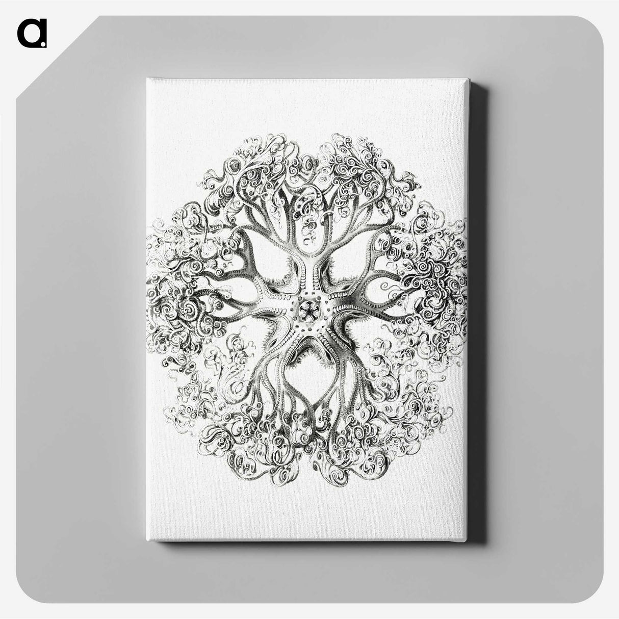 1-48_Ernst-Haeckel_canvas