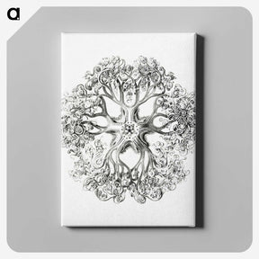 1-48_Ernst-Haeckel_canvas