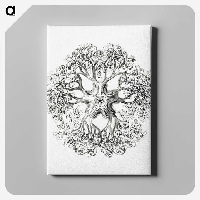 1-48_Ernst-Haeckel_canvas