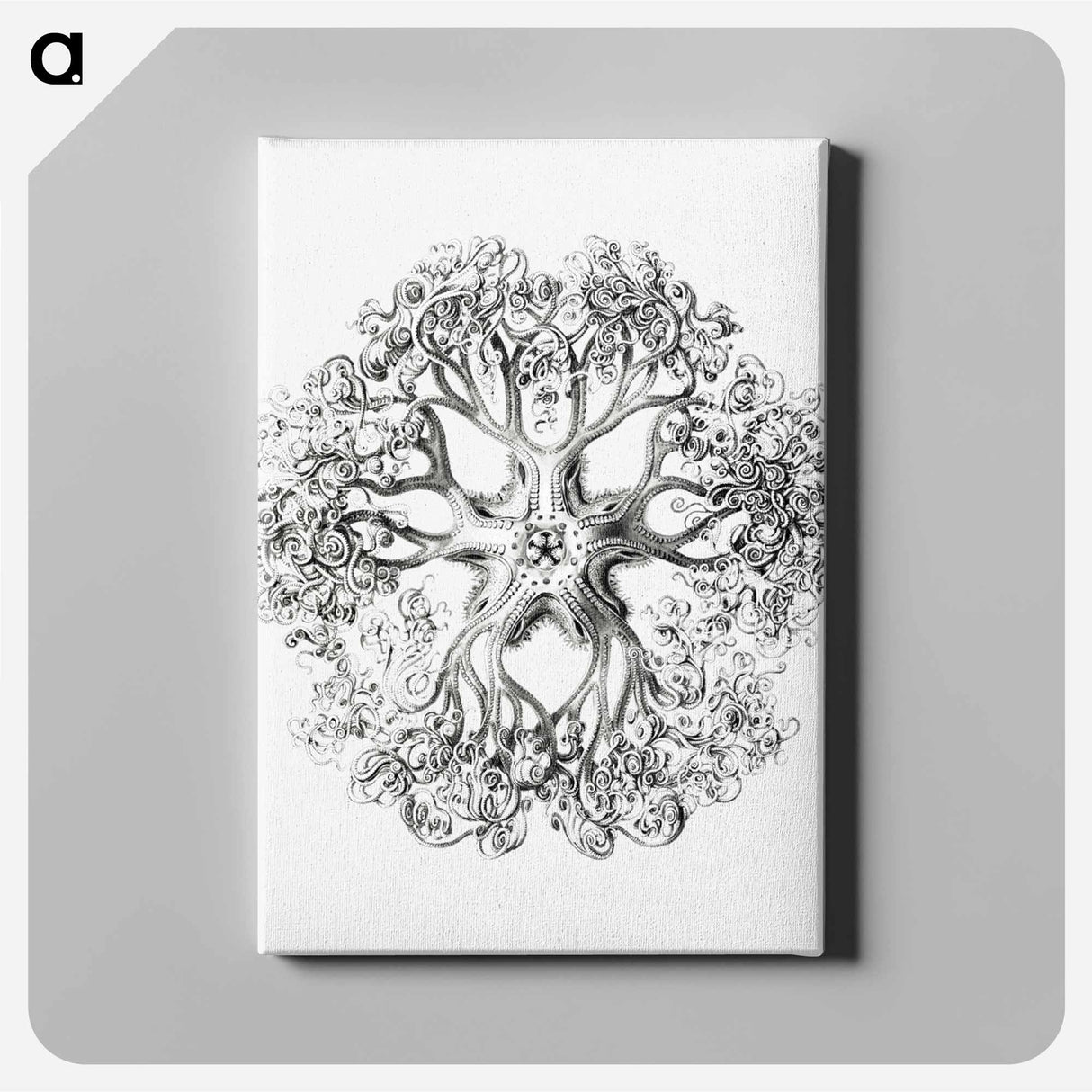 Vintage brittle star illustration - エルンスト ヘッケル Canvas.