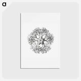 アートポストカード-Vintage brittle star illustration - エルンスト ヘッケル Postcard.