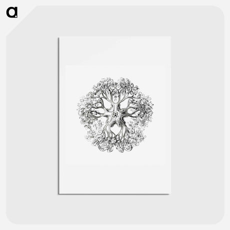 アートポストカード-Vintage brittle star illustration - エルンスト ヘッケル Postcard.