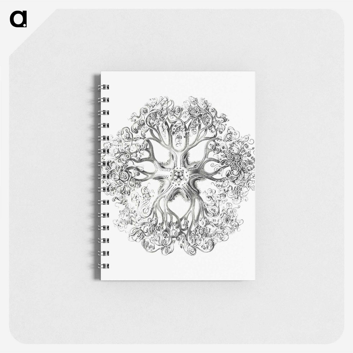 1-48_Ernst-Haeckel_memo